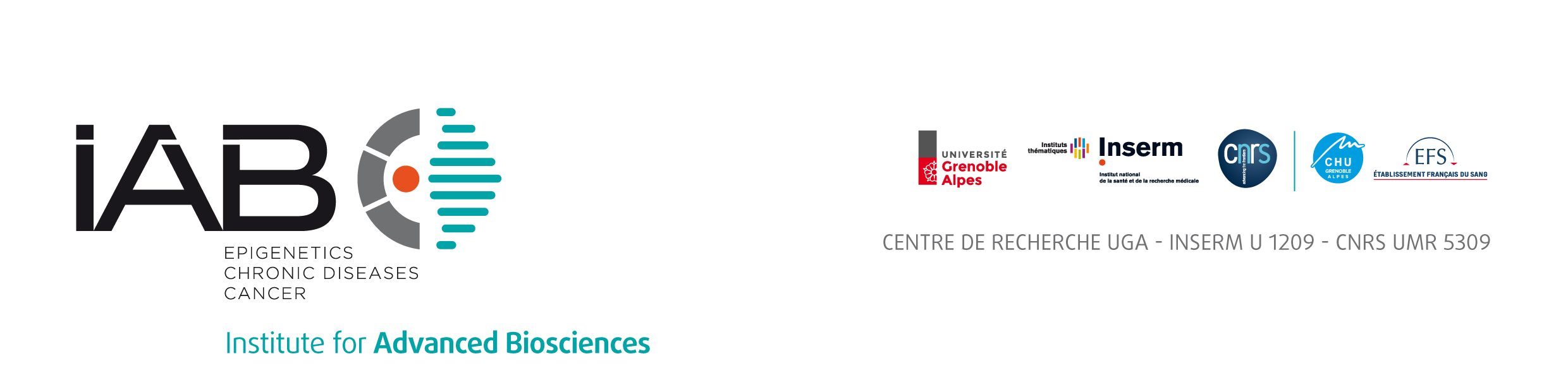 IAB_Logo
