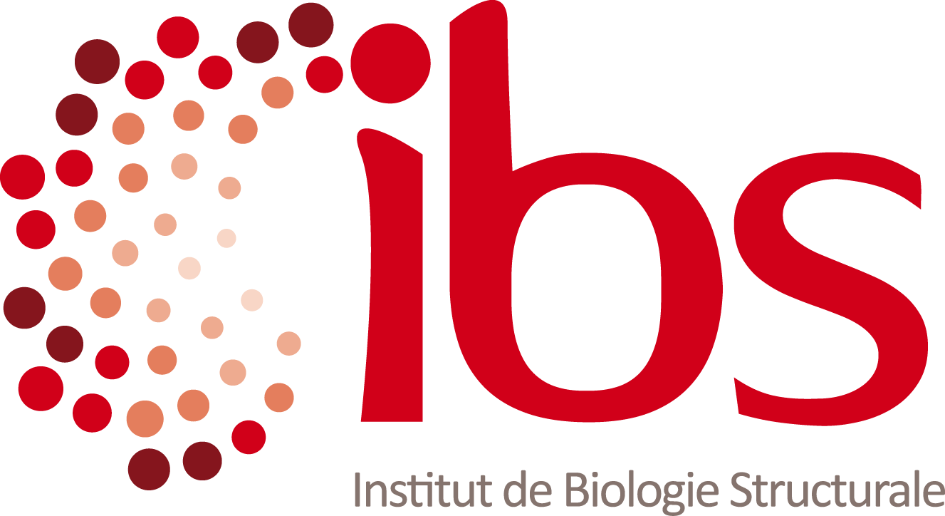 IBS_logo