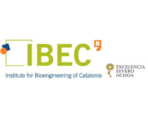 IBEC
